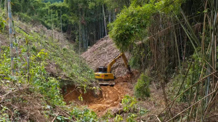 林间“藏龙”，竹海“卧虎”——beats365官方唯一网站林业挖机广西侠客行